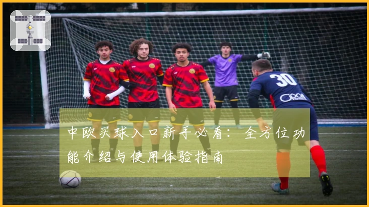 中欧买球入口新手必看：全方位功能介绍与使用体验指南