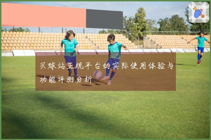 买球站正规平台的实际使用体验与功能评测分析