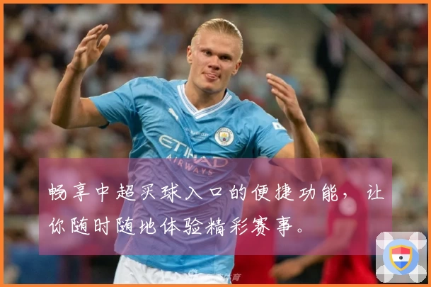 畅享中超买球入口的便捷功能，让你随时随地体验精彩赛事。