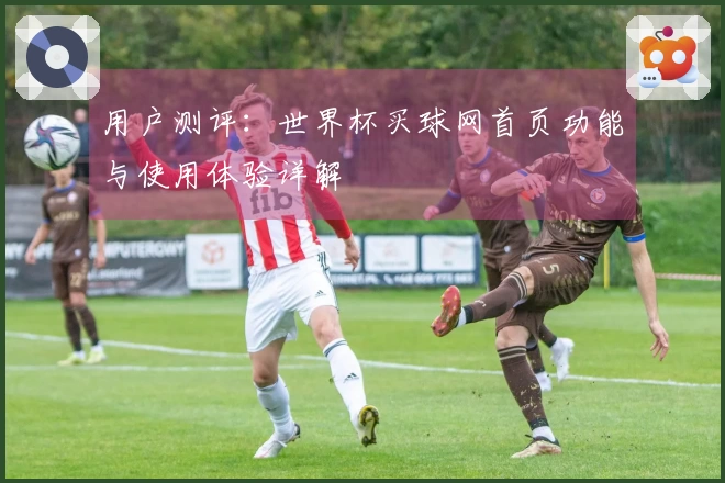用户测评：世界杯买球网首页功能与使用体验详解
