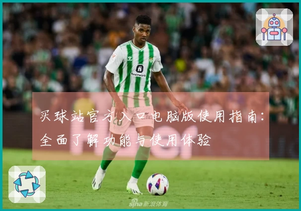 买球站官方入口电脑版使用指南：全面了解功能与使用体验