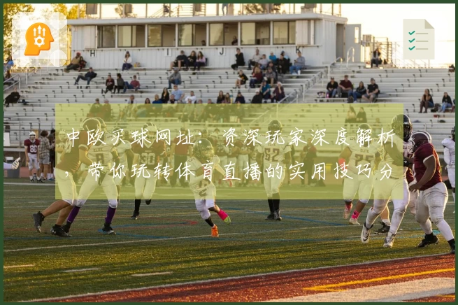 中欧买球网址：资深玩家深度解析，带你玩转体育直播的实用技巧分享