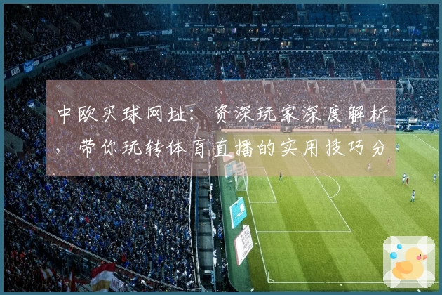 中欧买球网址：资深玩家深度解析，带你玩转体育直播的实用技巧分享