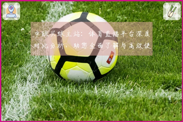 中欧买球主站：体育直播平台深度对比分析，助您全面了解与高效使用