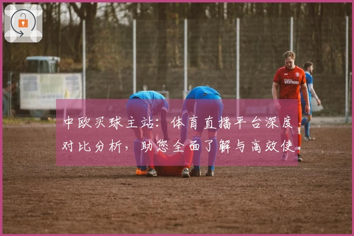 中欧买球主站：体育直播平台深度对比分析，助您全面了解与高效使用